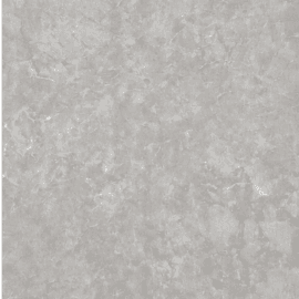 livate light grey matte porcelain tile 24x48 room installation