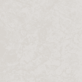 Elivate Light Silver  Porcelain Tile 24x48