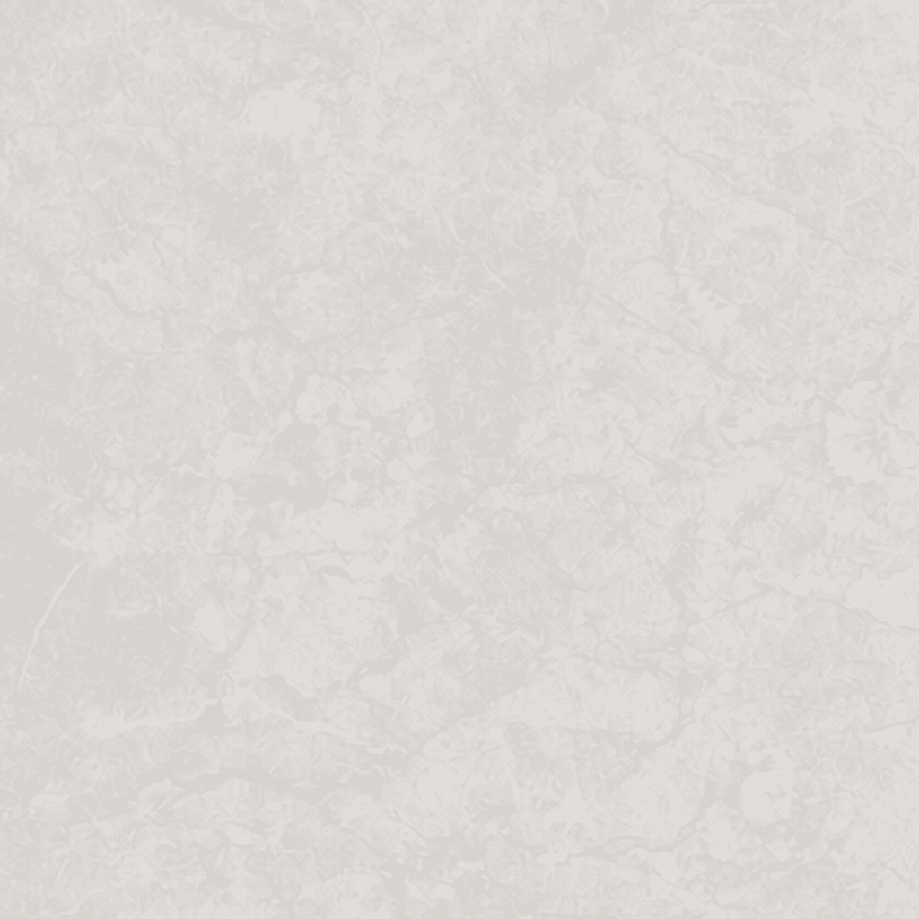 Elivate Light Silver Porcelain Tile 24x48