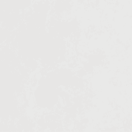 Pure White  Porcelain Tile 24x48
