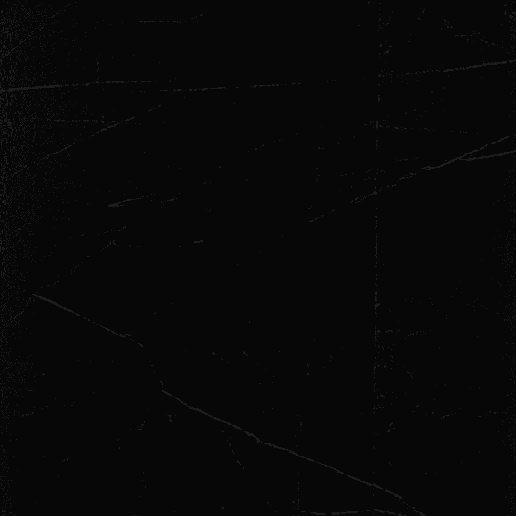 Fabius Elite Black Porcelain Tile 24x48