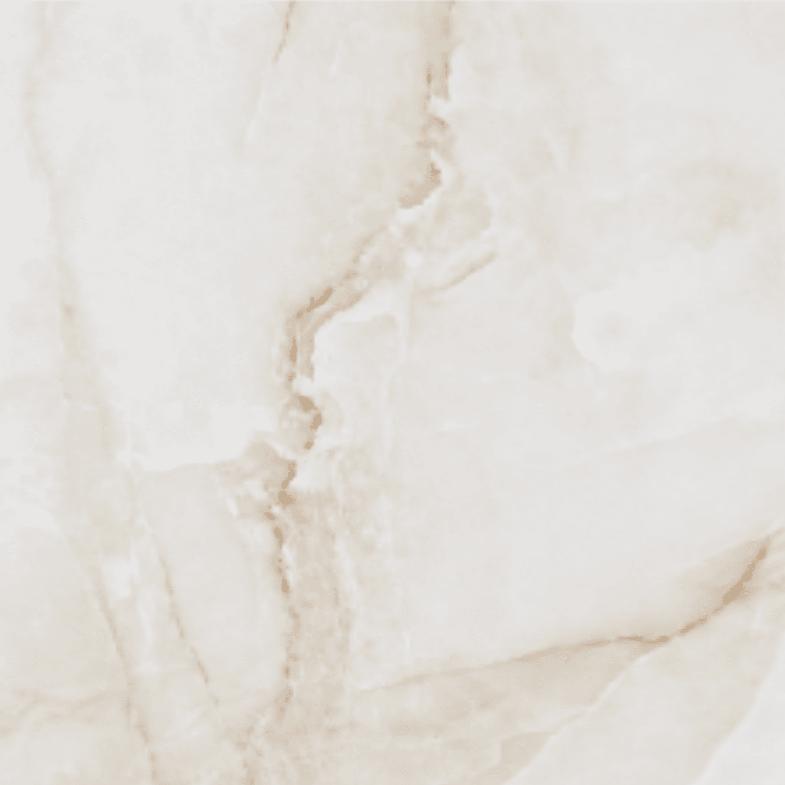 Onyxs White Porcelain Tile 24x48
