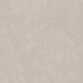 Elivate Beige Matte  Porcelain Tile 24x48