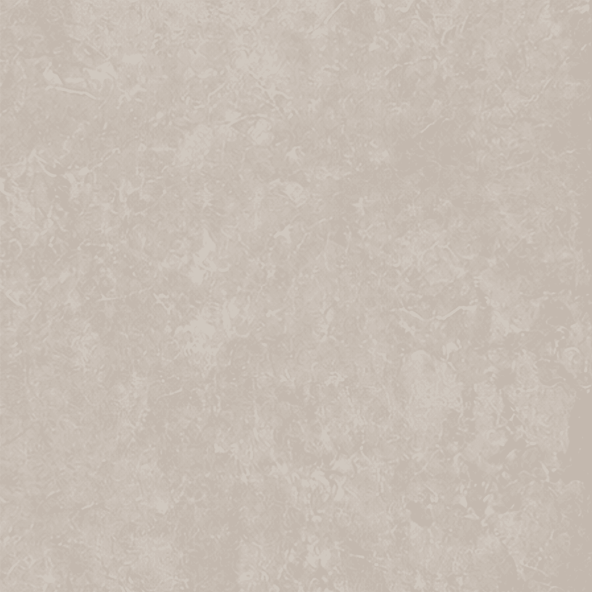Elivate Beige Matte Porcelain Tile 24x48