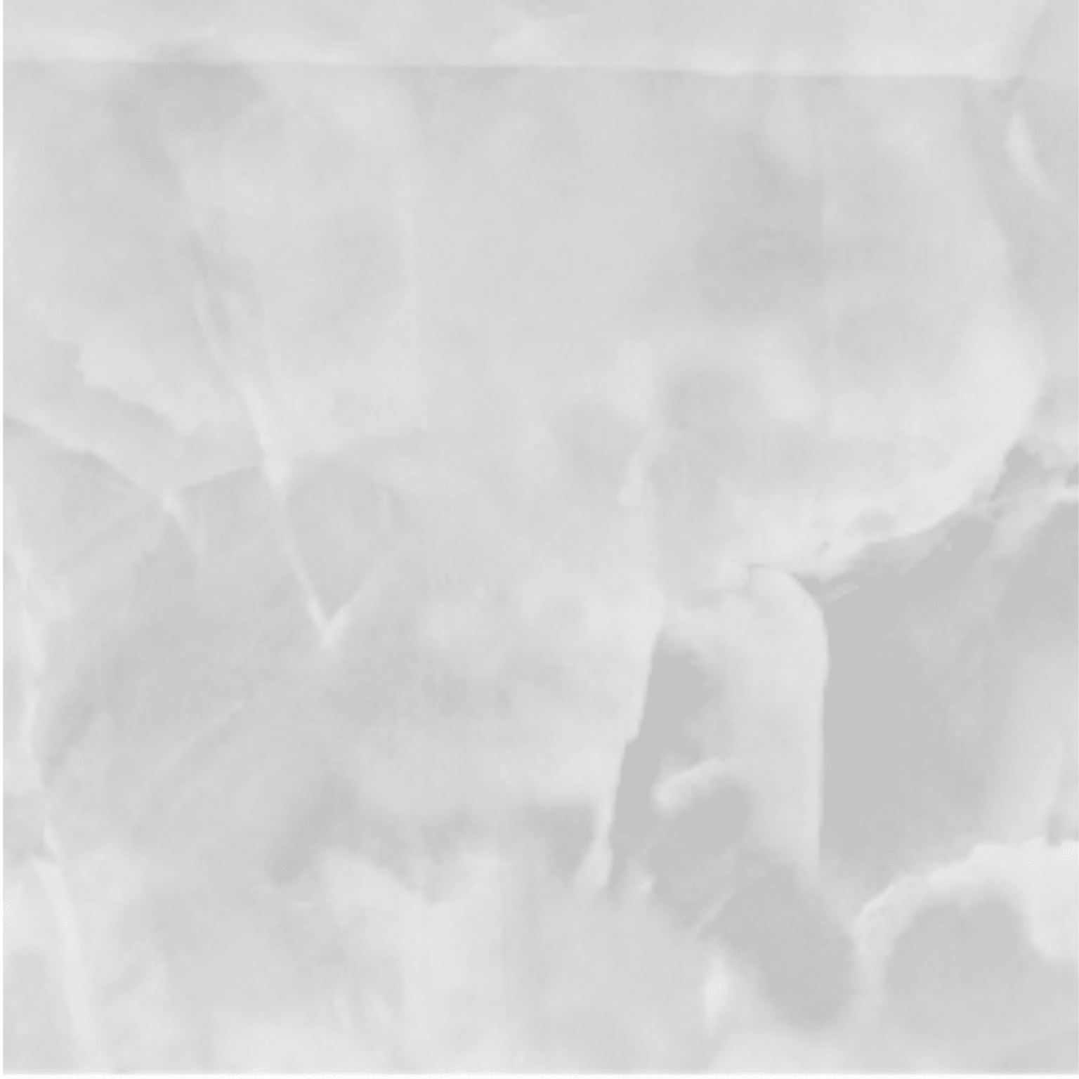 Onyx Clair Porcelain Tile 24x48