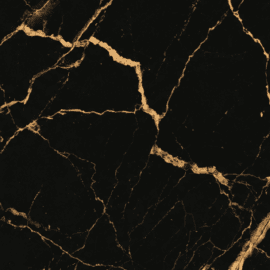 Simba Black Porcelain Tile 24x48