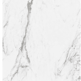 White  Porcelain Tile 24x48
