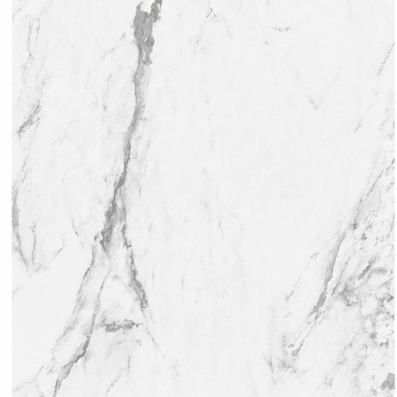 White Porcelain Tile 24x48