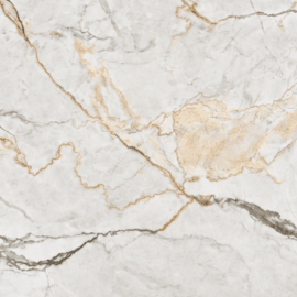 Silvamen Bianco Textured Porcelain Tile 24x48