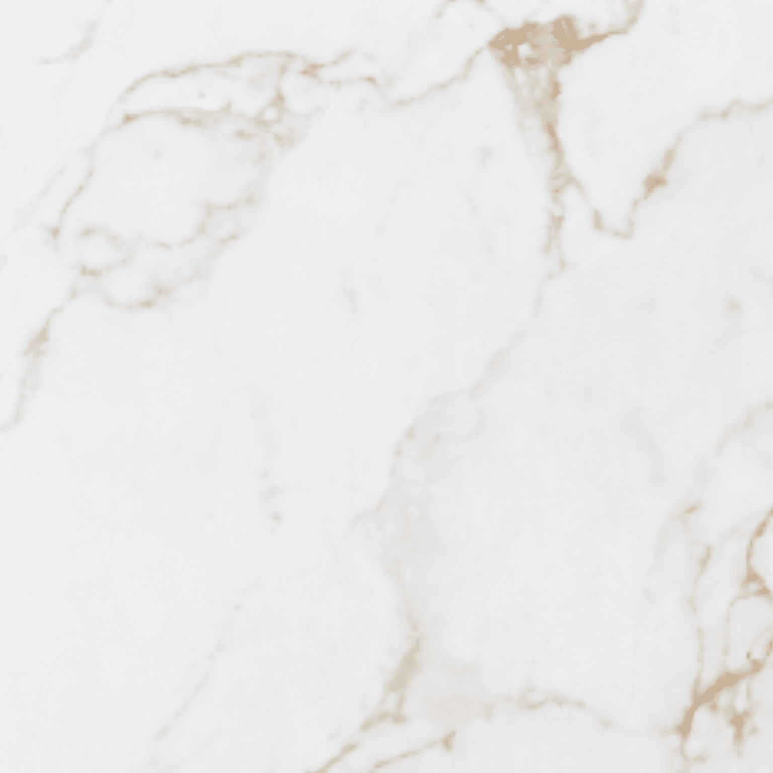 Glema Gold Polished Porcelain Tile 24x48