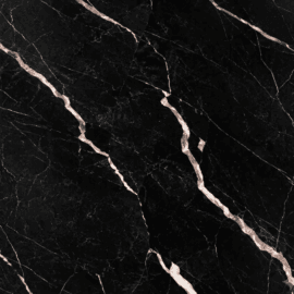 Black White Neurons PVC Decorative Wall Panel