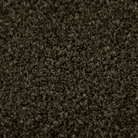 bigelow ceo ii bc382 commercial broadloom carpet earthy colorway 1