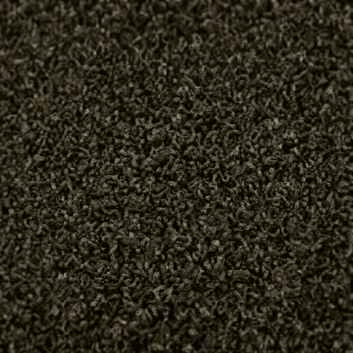 bigelow ceo ii bc382 commercial broadloom carpet earthy colorway 1